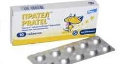 Pratera za mačke: kako se ukvarjati s paraziti na hišnega ljubljenčka